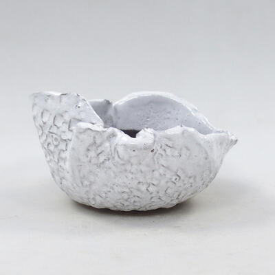 Ceramic shell 9.5 x 8 x 5 cm, color white - 1