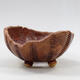 Ceramic shell 9.5 x 9 x 5.5 cm, natural color - 1/3