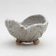 Ceramic Shell 9 x 9 x 6.5 cm, gray color - 1/3