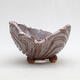 Ceramic shell 9 x 9 x 6 cm, color pink - 1/3