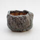 Ceramic shell 7.5 x 8 x 7 cm, color gray - 1/3