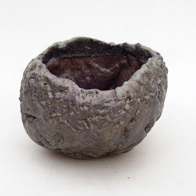 Ceramic shell 8 x 8 x 6 cm, color gray - 1