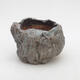 Ceramic shell 8.5 x 7.5 x 6 cm, color gray - 1/3