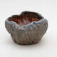Ceramic Shell 9 x 8.5 x 6 cm, color blue - 1/3