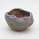 Ceramic Shell 8.5 x 8 x 6 cm, color blue - 1/3