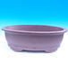 Bonsai bowl 70 x 45 x 23 cm - 1/7