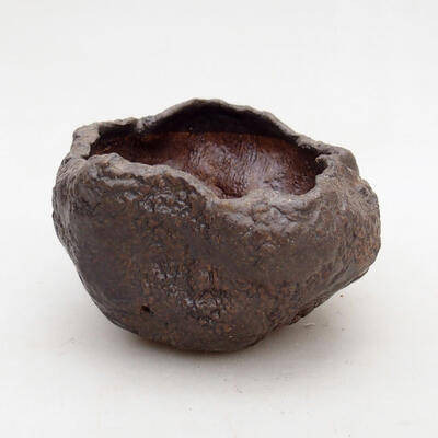 Ceramic shell 8 x 8 x 5 cm, color brown - 1