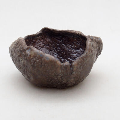 Ceramic shell 8 x 7.5 x 4.5 cm, color brown - 1