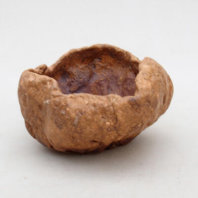 Ceramic shell 8.5 x 8 x 5 cm, color brown - 1