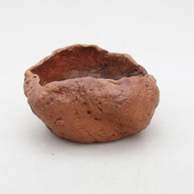 Ceramic shell 8.5 x 7 x 4.5 cm, color brown - 1