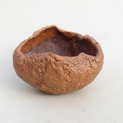 Ceramic shell 8.5 x 8 x 5.5 cm, color brown - 1