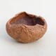 Ceramic shell 8.5 x 8 x 5.5 cm, color brown - 1/3