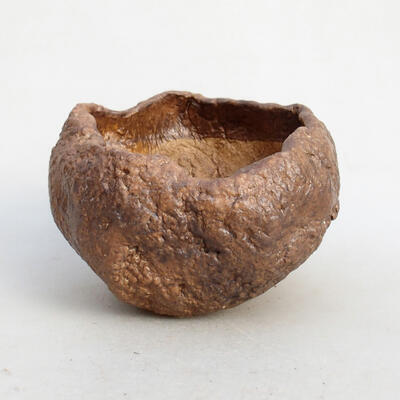 Ceramic shell 9 x 8 x 6 cm, color brown - 1