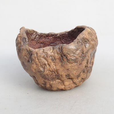 Ceramic shell 8 x 8 x 6.5 cm, color brown - 1