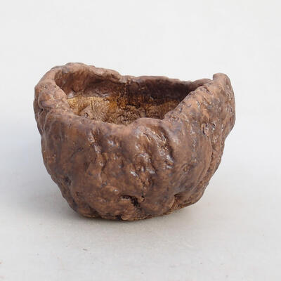 Ceramic shell 8 x 7.5 x 6 cm, color brown - 1