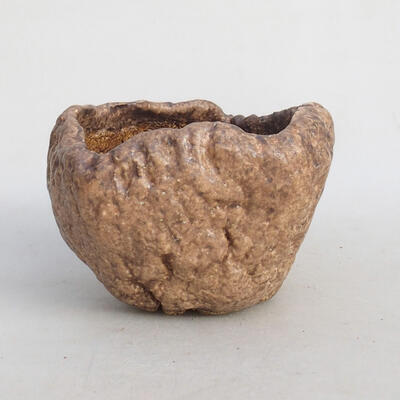 Ceramic shell 8 x 8 x 6 cm, color brown - 1
