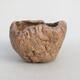 Ceramic shell 8 x 8 x 6 cm, color brown - 1/3