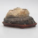 Suiseki - Stone with DAI (wooden mat) - 1/3