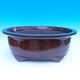 Bonsai bowl 60 x 46 x 23 cm - 1/7