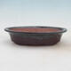Bonsai bowl 21 x 14 x 5 cm, color brown - 1/7