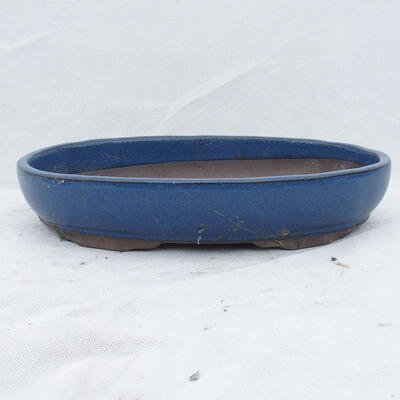 Bonsai bowl 31 x 21 x 4.5 cm, color blue - 1
