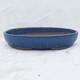 Bonsai bowl 36 x 25 x 6.5 cm, color blue - 1/7