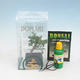 Room bonsai in a gift box - 1/2