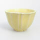 Ceramic bonsai bowl 5 x 5 x 3.5 cm, color yellow - 1/3