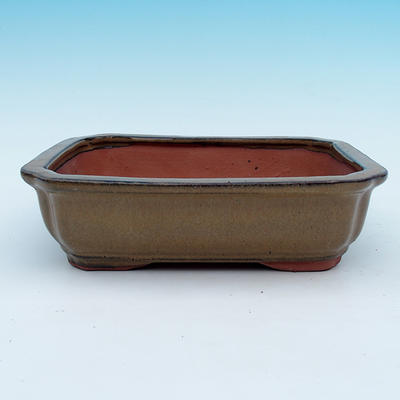 Bonsai bowl - 1