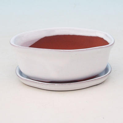 Bonsai bowl tray of water H05 +, white - 1