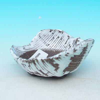 ceramic shell T0664 - 1