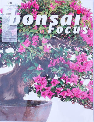 Bonsai focus - German No.68 - 1