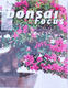 Bonsai focus - German No.68 - 1/7