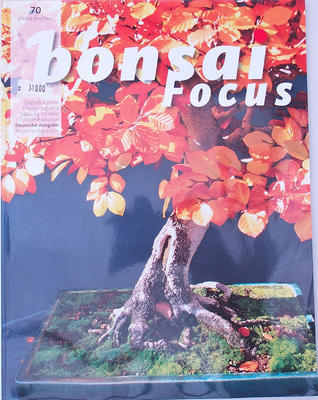 Bonsai focus - German No.70 - 1