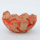 Ceramic shell 9 x 9 x 5 cm, red color - 1/3