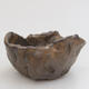 Ceramic Shell 9 x 8 x 4.5 cm, color brown - 1/3