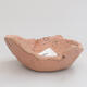 Ceramic shell 9 x 8 x 3 cm, color pink - 1/3