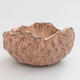Ceramic Shell 9 x 8 x 4.5 cm, color pink - 1/3
