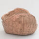 Ceramic shell 9 x 7 x 6 cm, color pink - 1/3
