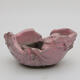 Ceramic shell 8 x 7 x 4 cm, color pink - 1/3