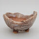 Ceramic shell 9 x 9 x 5 cm, color white - 1/3