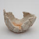 Ceramic shell 9 x 8 x 5 cm, color gray - 1/3