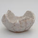Ceramic shell 9 x 9 x 5 cm, color gray - 1/3