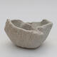 Ceramic shell 8 x 8 x 5 cm, color gray - 1/3