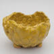 Ceramic shell 9 x 9 x 6 cm, color yellow - 1/3