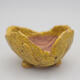 Ceramic shell 9 x 8 x 5 cm, color yellow - 1/3