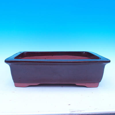 Bonsai bowl 52 x 38 x 15 cm - 1