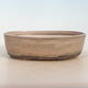 Bonsai bowl 29 x 23 x 8.5 cm, gray-beige color - 1/5