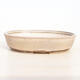 Bonsai bowl 25 x 19 x 5.5 cm, color beige-gray - 1/5