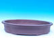 Bonsai bowl 52 x 37 x 9,5 cm - 1/7